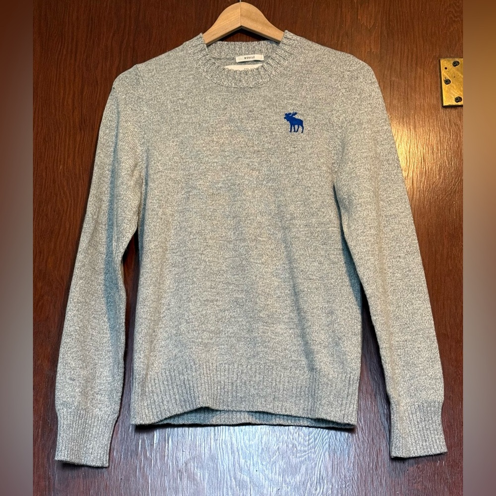 Y2K Abercrombie & Fitch Gray Crewneck Muscle Fit Sweater Men’s Size Medium NWT